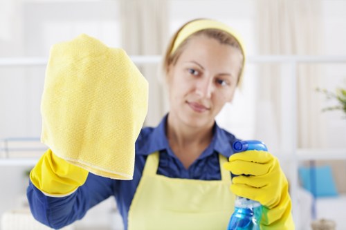 Professional pet stain odour removal in a Walthamstow living room