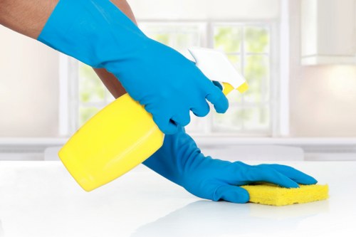 Professional carpet cleaning in a Walthamstow home living room