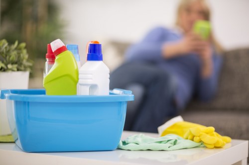 Professional sofa cleaning in a Walthamstow living room