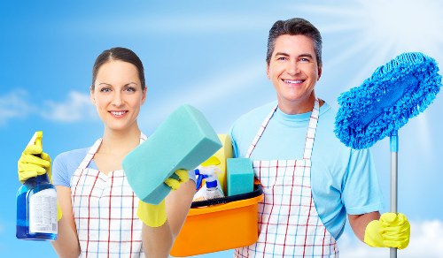 Specialist upholstery cleaning for pet stain odour removal
